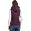 Outdoor Ventures Women’s Lightweight Packable Hooded Puffer Vest Outerwear Zip Up Warm Sleeveless Winter Jacket Quilted Coat(Eggplant)